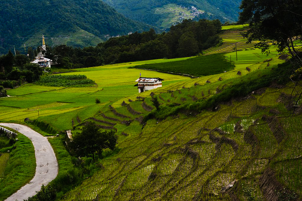 ziro valley