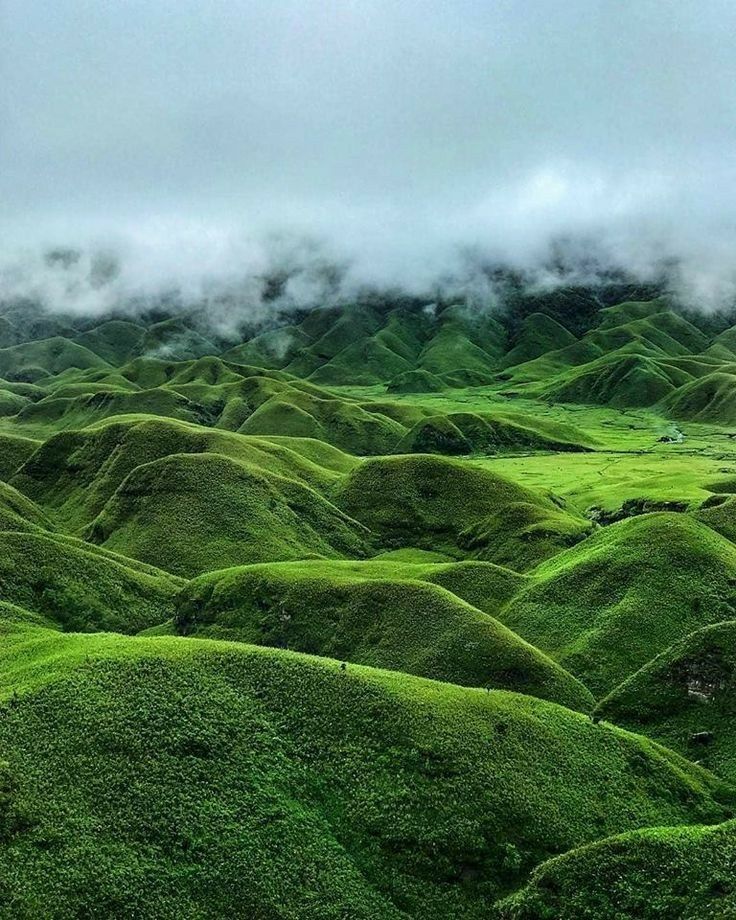 dzukou valley