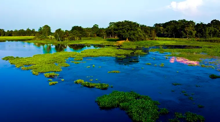 Majuli 2 majuli island