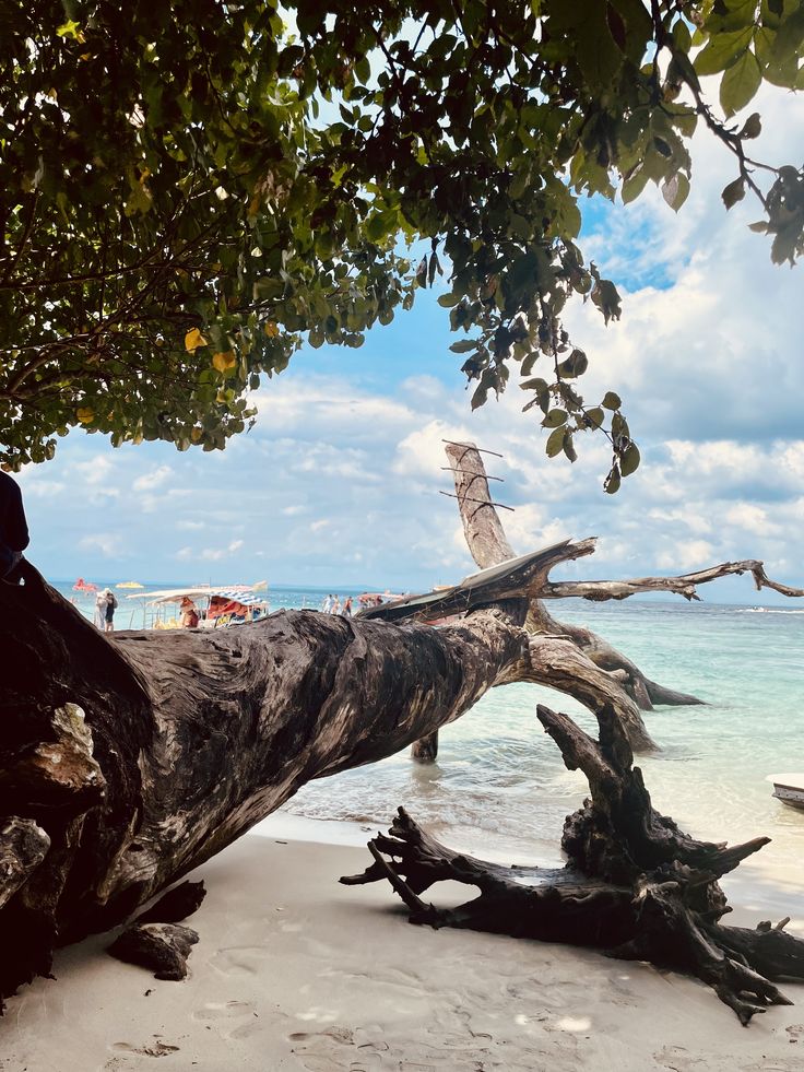 Corbyn's Cove Beach