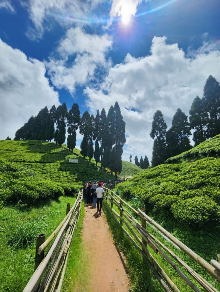 Happy Valley Tea Estate