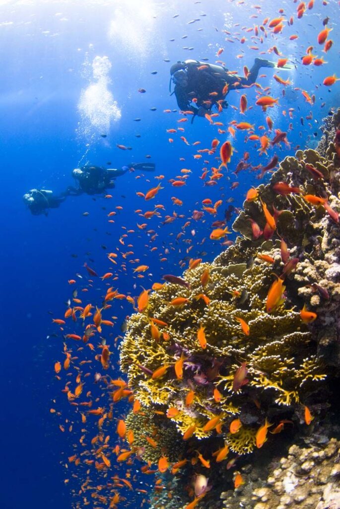 Scuba Diving at Swaraj Dweep