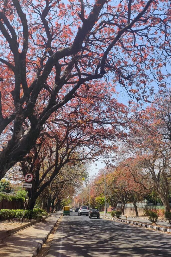 chandigarh