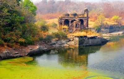 Jogi Mahal