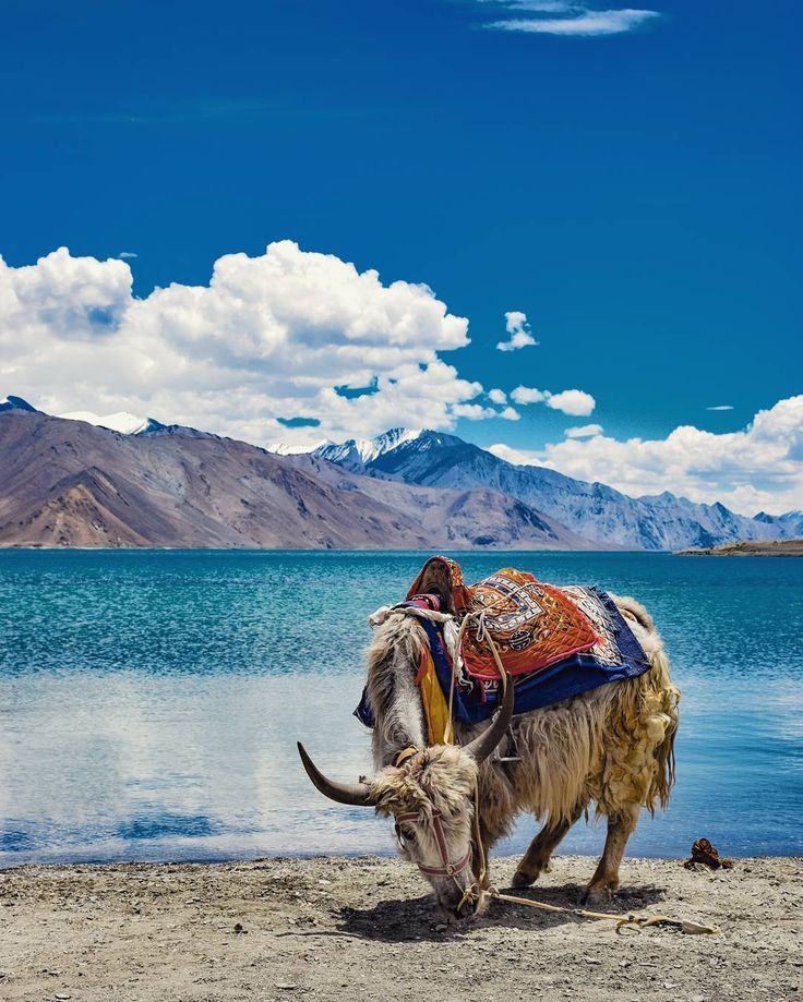 ladakh