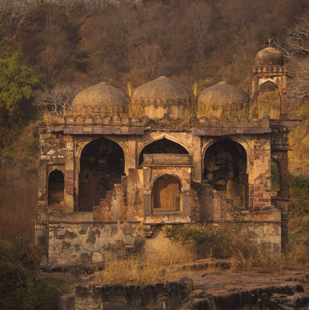 Ranthambore Fort