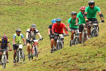 Cycle Through Rice Fields