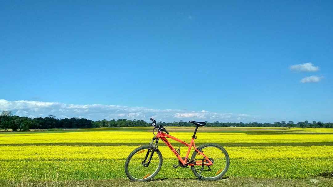 Cycle Through Villages