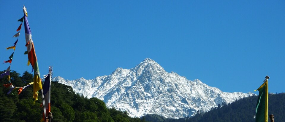 Dharamshala and McLeod Ganj 1 dhauladhar at Dharamshala and McLeod Ganj