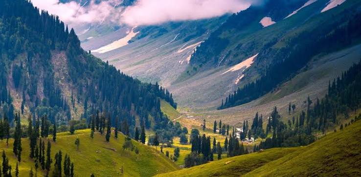 meadow of gold sonmarg