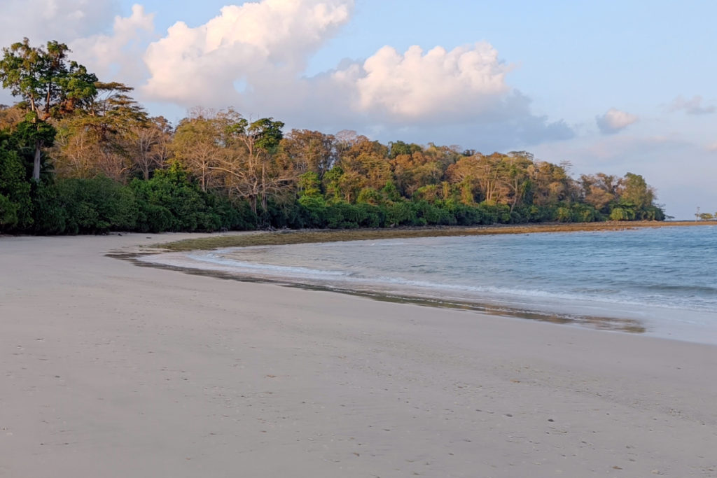 Merk Bay