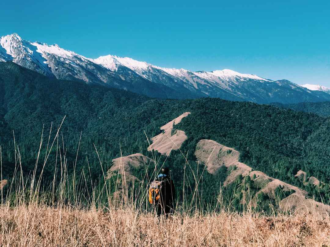Mountain View Trek