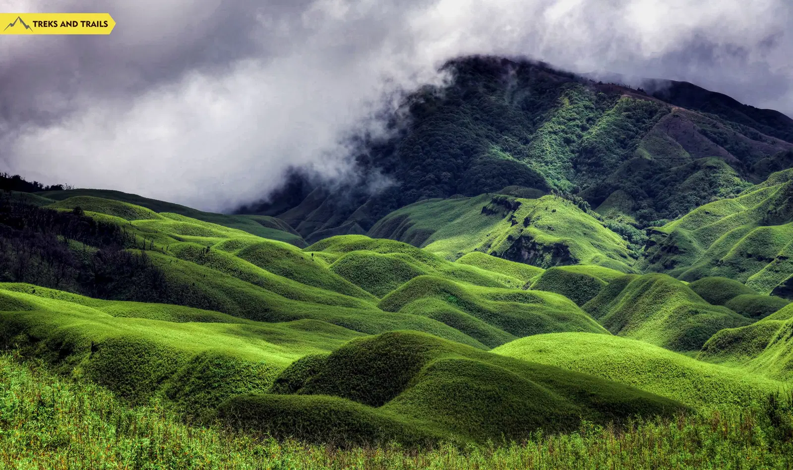 Ridge Trek