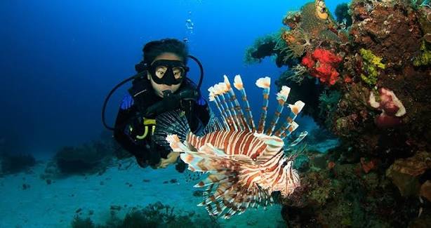 Scuba Diving Sites