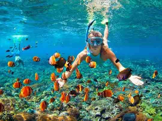 Snorkeling Point