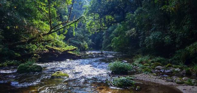 Visit Talley Valley