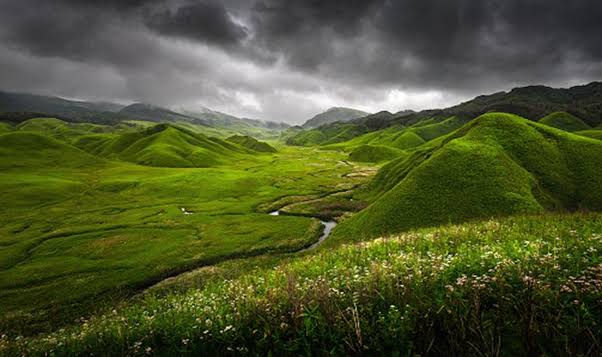 Wildflower Trail