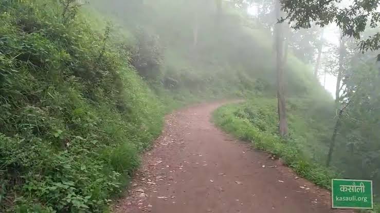 Kasauli Weekend Trip from Delhi: A Birthday Getaway in the Hills 9 gilbert trail walkthrough kasauli