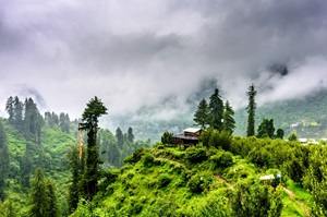 Kasauli Weekend Trip from Delhi: A Birthday Getaway in the Hills 8 mesmerizing view of gilbert trail
