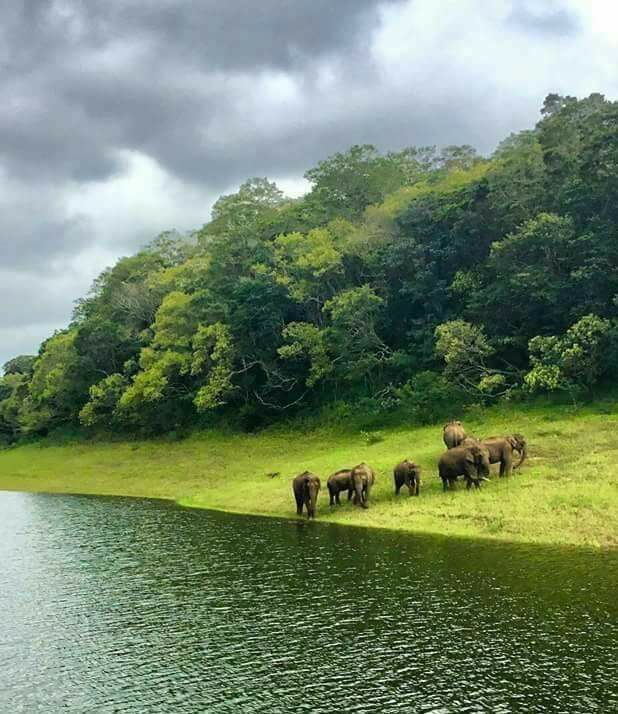 thekkady