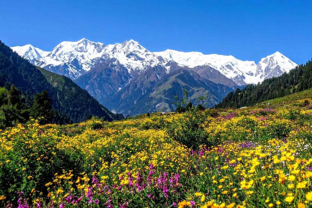 valley of flowers national park