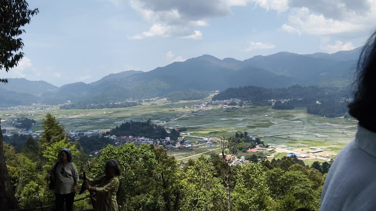 ziro